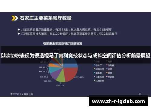 以欧协联表现为镜透视马丁内利竞技状态与成长空间评估分析前景展望